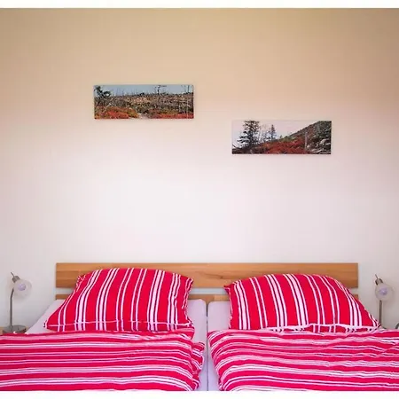 Apartment Attractive In