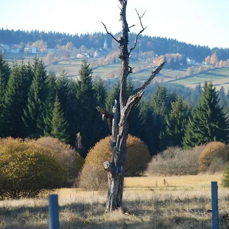 Attractive In * Haidmuhle